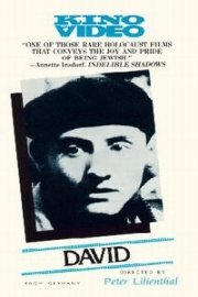David poster