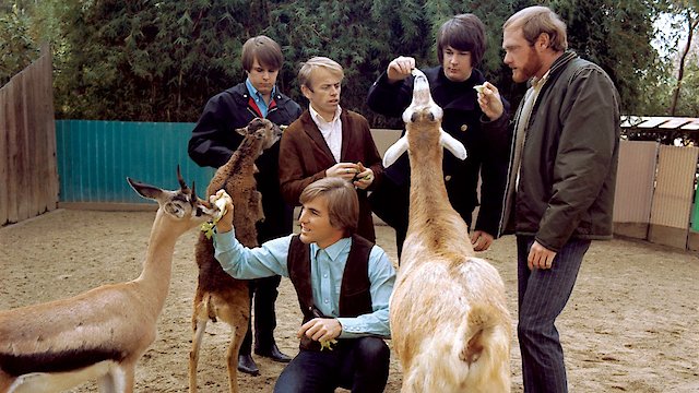 Watch The Beach Boys: Making Pet Sounds Online