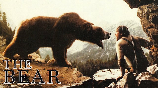 Watch The Bear Online