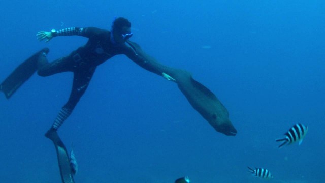 Watch On A Long Breath Online