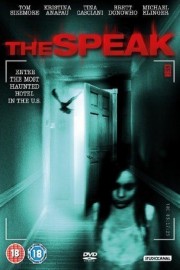A Haunting At the Park Hotel poster