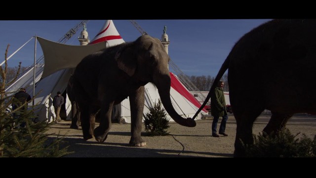 Watch Le Cirque Online