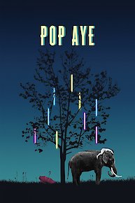 Pop Aye