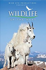 Wildlife of the West poster