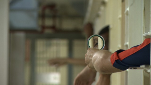 Watch Natural Life Online