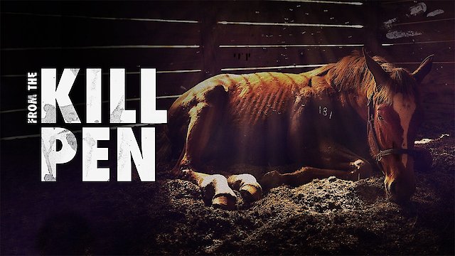 Watch From the Kill Pen Online