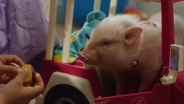 Watch Arlo The Burping Pig Online