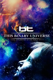 This Binary Universe