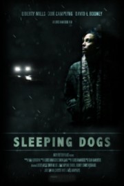 Sleeping Dogs poster