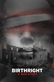 Birthright: A War Story poster