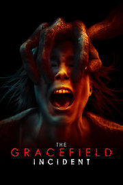 The Gracefield Incident