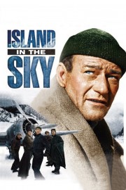 Island in the Sky poster