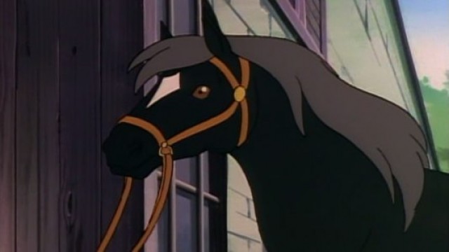 Watch Black Beauty Online