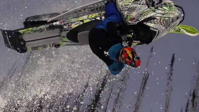 Watch 509 Films: Volume 9 Online