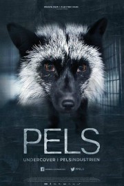 Pels