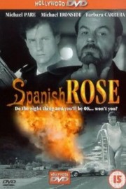 Point of Impact poster
