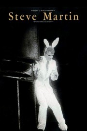 Steve Martin: A Wild And Crazy Guy poster