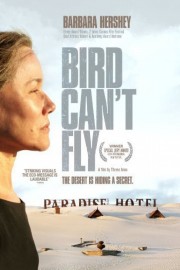 Bird Can't Fly poster