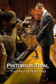 Pistorius Trial:  The Key Questions