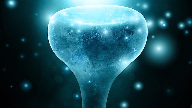 Watch Neurons To Nirvana Online
