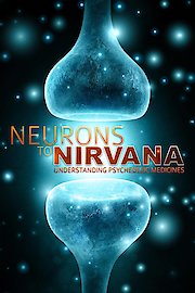 Neurons To Nirvana poster