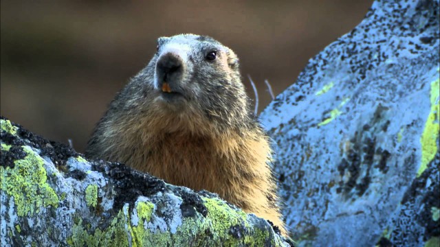 Watch Nock - Mountains at Heaven's Door Online