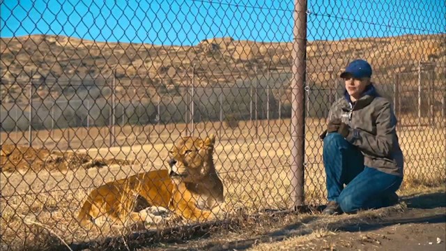Watch Lionsrock - Return of the King Online
