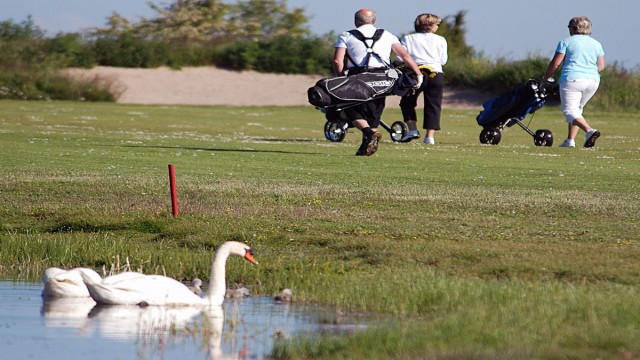 Watch Golfing With Animals Online