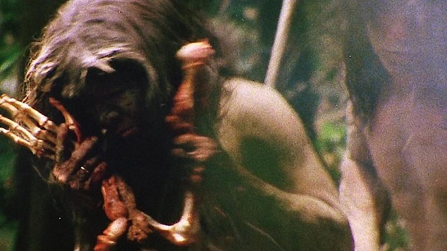 Watch Cannibal Holocaust Online