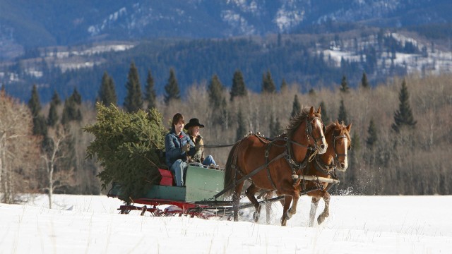 Watch A Heartland Christmas Online