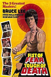 Fist of Fear, Touch of Death poster