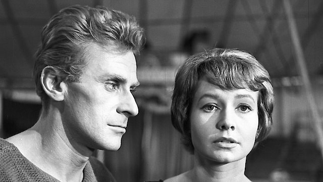 Watch The Impossible Goodbye Online