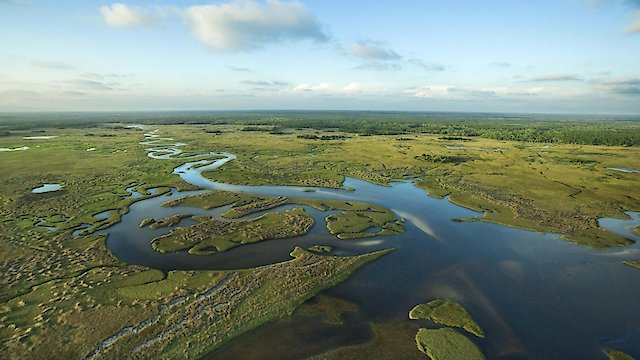 Watch National Parks Exploration Series: The Everglades - A Subtropical Paradise Online