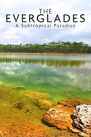 National Parks Exploration Series: The Everglades - A Subtropical Paradise poster