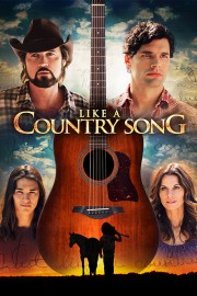 Like a Country Song poster