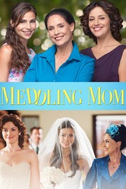 Meddling Mom poster