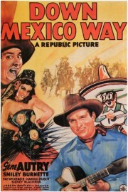 Down Mexico Way poster