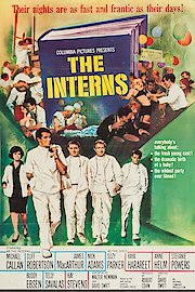 The Interns