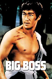 Fists Of Fury poster