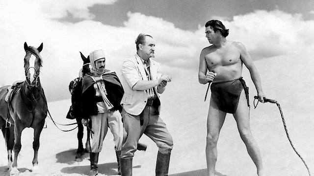 Watch Tarzan's Desert Mystery Online