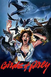 Birds of Prey poster