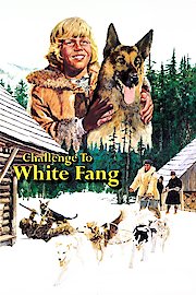 Challenge To White Fang poster