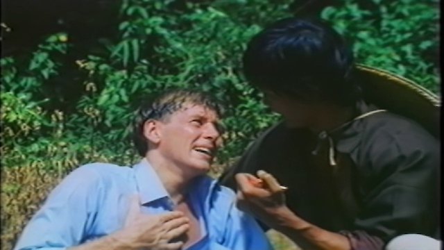 Watch City Ninja Online