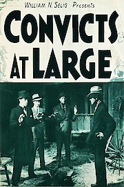 Convicts At Large