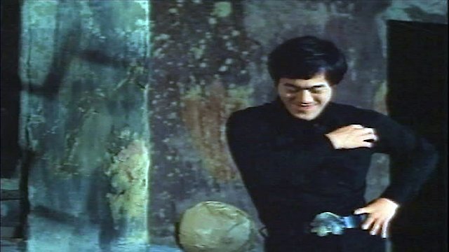 Watch Fists Of Bruce Lee Online