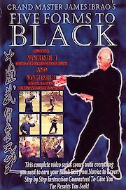 Five Forms To Black Volume 1 poster