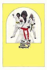 Karate Kids USA poster