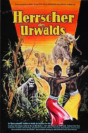 Masters Of The Congo Jungle poster