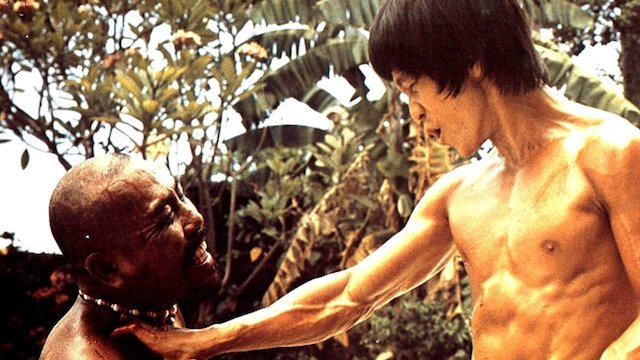 Watch Ninja Vs. Bruce Lee Online