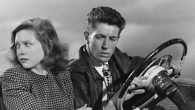 Watch They Live By Night Online